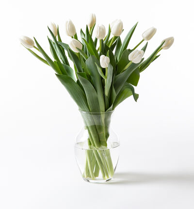 Hvit tulipanbukett liten